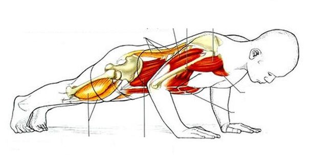 push-ups voor gewichtsverlies